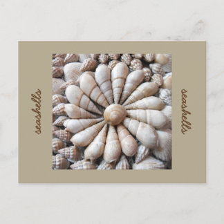 Artistieke Seashell Cirkel Post Card Briefkaart