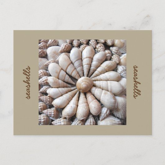 Artistieke Seashell Cirkel Post Card Briefkaart (Voorkant)