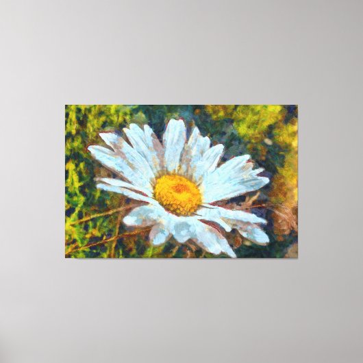 Artistieke Sluiting van een Marguerite Daisy Flowe Canvas Afdruk (Voorkant)