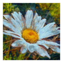 Artistieke Sluiting van een Marguerite Daisy Flowe