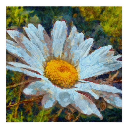 Artistieke Sluiting van een Marguerite Daisy Flowe Perfect Poster (Voorkant)