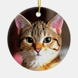 Artistieke tablet Cat Kitten Portret Keramisch Ornament