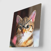 Artistieke tablet Cat Kitten Portret Vierkante Klok (Hoek)
