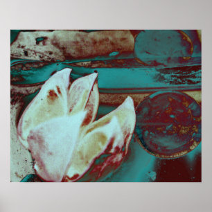 Artistieke Waterlelie in Rood en Blauw Poster