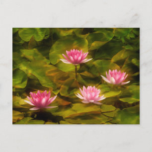 Artistieke waterlelies, Californië Briefkaart