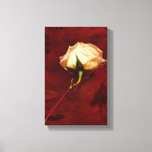 Artistieke Witte Rose Canvas Wrap Afdruk (Voorkant)