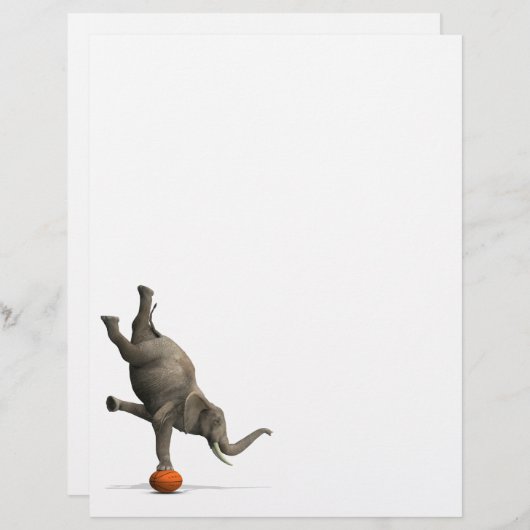 Artistisch olifant (Voorkant / Achterkant)