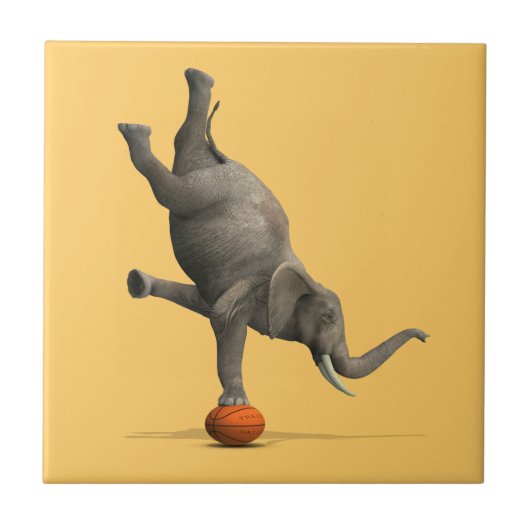 Artistisch olifant tegeltje (Voorkant)