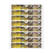 Artistisch palet #1 adreslabel wikkel (Vel)