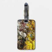 Artistisch palet #1 bagagelabel (Achterkant verticaal)