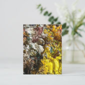 Artistisch palet #1 bedankkaart (Staand voorkant)