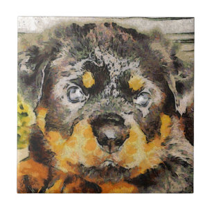 Artistisch rottweiler-papaverportret tegeltje