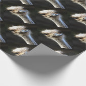 Artistisch struisvogelportret met fijne uitdrukkin cadeaupapier (Hoek)