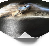 Artistisch struisvogelportret met fijne uitdrukkin foto afdruk (Hoek)