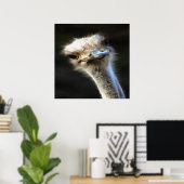 Artistisch struisvogelportret met fijne uitdrukkin poster (Thuiskantoor)