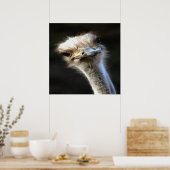 Artistisch struisvogelportret met fijne uitdrukkin poster (Keuken)