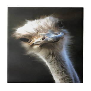 Artistisch struisvogelportret met fijne uitdrukkin tegeltje