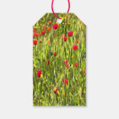 Artistisch weide Poppy Landschap Cadeaulabel (Voorkant)