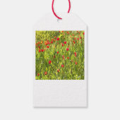 Artistisch weide Poppy Landschap Cadeaulabel (Achterkant)
