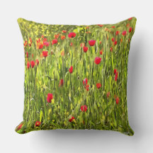 Artistisch weide Poppy Landschap