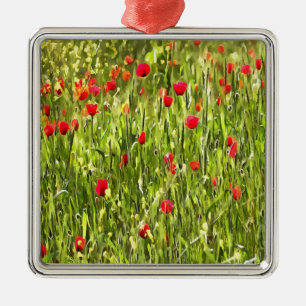 Artistisch weide Poppy Landschap Metalen Ornament