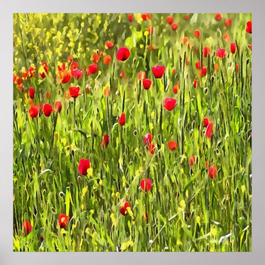 Artistisch weide Poppy Landschap Poster (Voorkant)