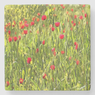Artistisch weide Poppy Landschap Stenen Onderzetter