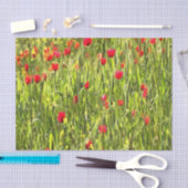 Artistisch weide Poppy Landschap Tissuepapier (Craft)