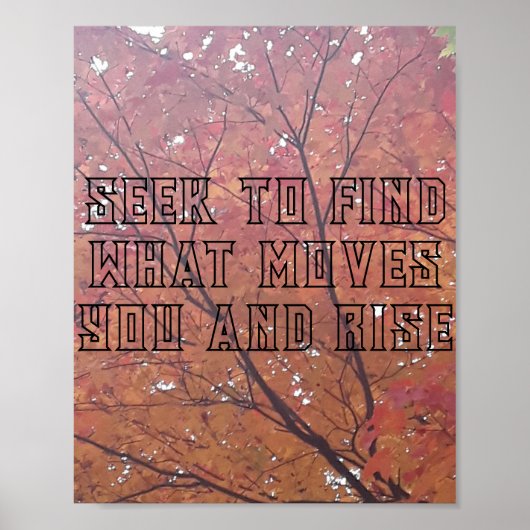 Artistry Print, Value Poster papier (mat) (Voorkant)