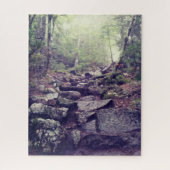 Artist's Bluff Rocky Wandelpad in New Hampshire Legpuzzel (Verticaal)