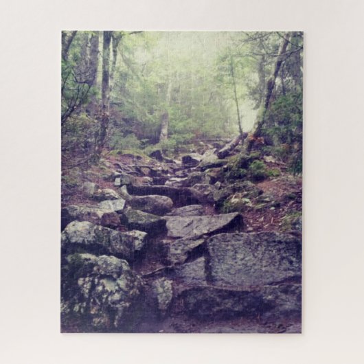 Artist's Bluff Rocky Wandelpad in New Hampshire Legpuzzel (Verticaal)
