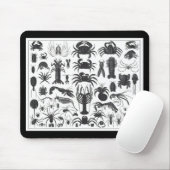 Artropoda: spinnen, krabben, lobsters B&W-patroon Muismat (Met muis)