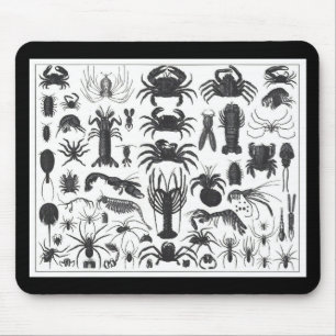Artropoda: spinnen, krabben, lobsters B&W-patroon Muismat