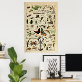 Artropotigen - Collectie van ongewervelde dieren Poster (Thuiskantoor)