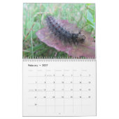 artsachtig kalender (Feb 2027)