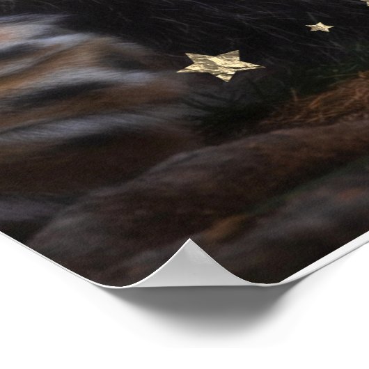 *~* Artsy AP23 Artistic Celestial SOFT Brown LION Poster (Hoek)