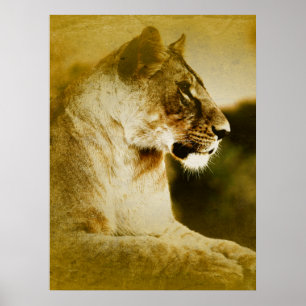 *~* Artsy AP23 Artistieke Waterverf Golden LIONESS Poster