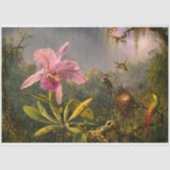 Artsy Brazilian Cattelya Orchid en 3 kolibries Tissuepapier (Voorkant)