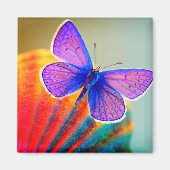 Artsy Butterfly Magnet (Voorkant)