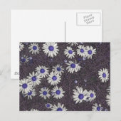 Artsy Daisies Briefkaart (Voorkant / Achterkant)
