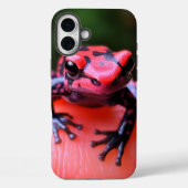 Artsy Frog telefoonhoesje Case-Mate iPhone Case (Achterkant)