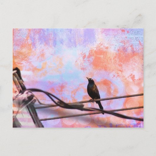 Artsy Grackle Briefkaart (Voorkant)