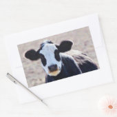 Artsy Panda Gezicht Koe Sticker (Envelop)