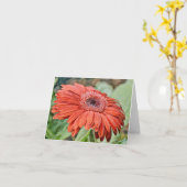 Artsy Red Gerbera Daisy uit de tuin van Gertie Kaart (Gele Bloem)