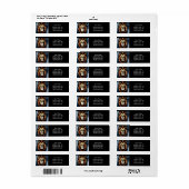 Artsy Wild African Lion Etiket (Full Sheet)
