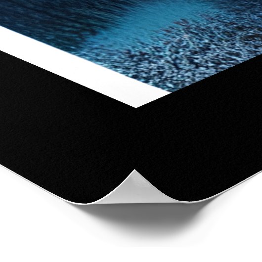 Artsy Wild African Lion Poster (Hoek)