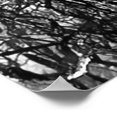 Artsy zwart-wit boom modern poster (Hoek)