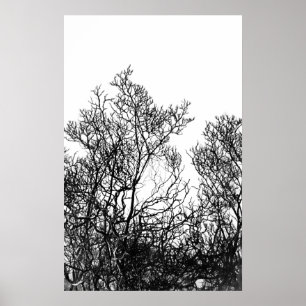Artsy zwart-wit boom modern poster