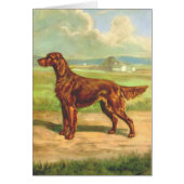  Artwork - Irish Setter Dog , (Voorkant)
