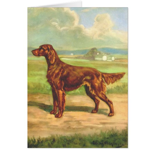  Artwork - Irish Setter Dog , (Voorkant)